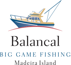 Balancal-logo